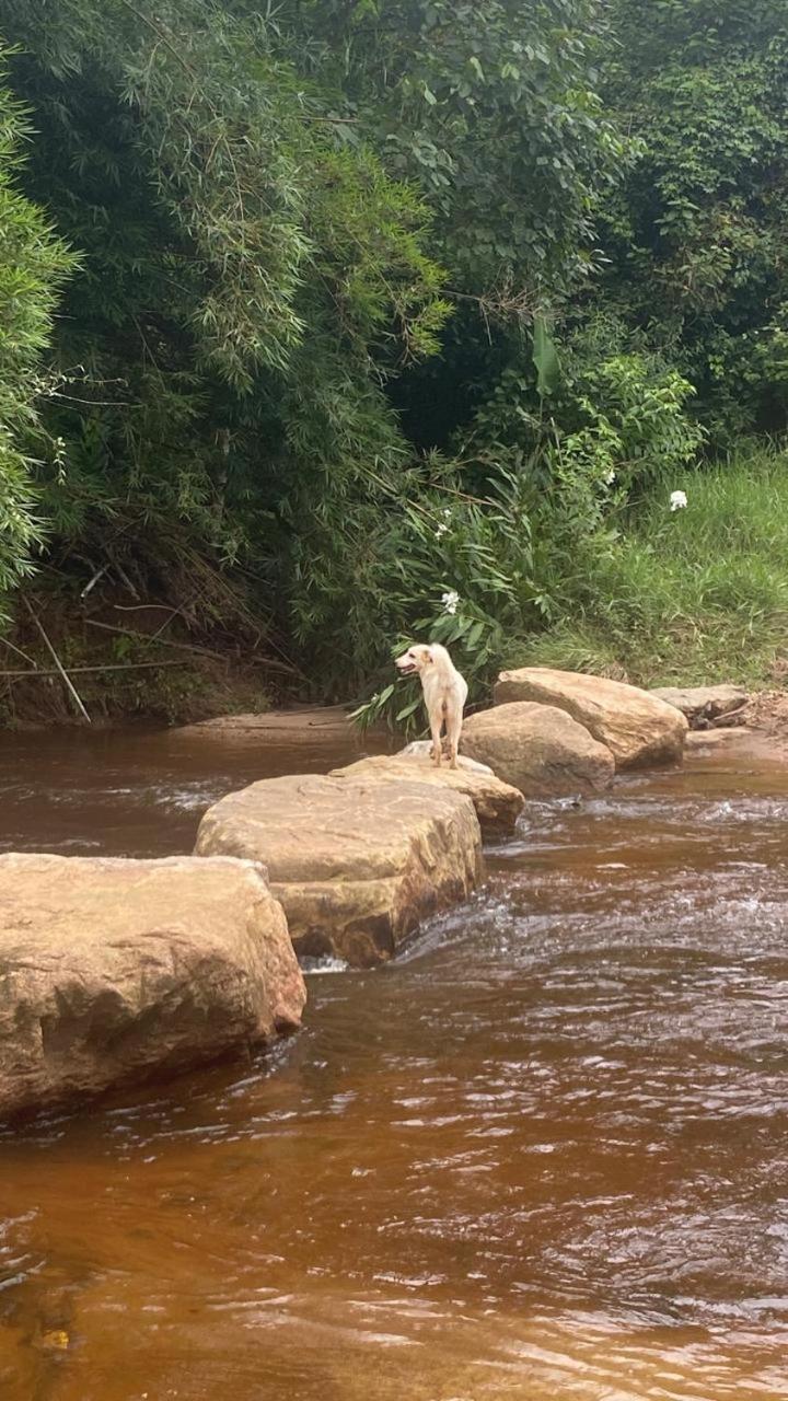 Pousada Fazenda e Pesqueiro Chalé da serra Conceição do Ibitipoca Exterior foto