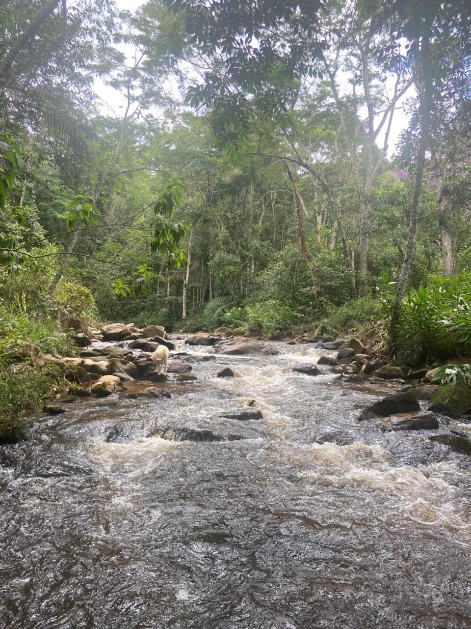 Pousada Fazenda e Pesqueiro Chalé da serra Conceição do Ibitipoca Exterior foto