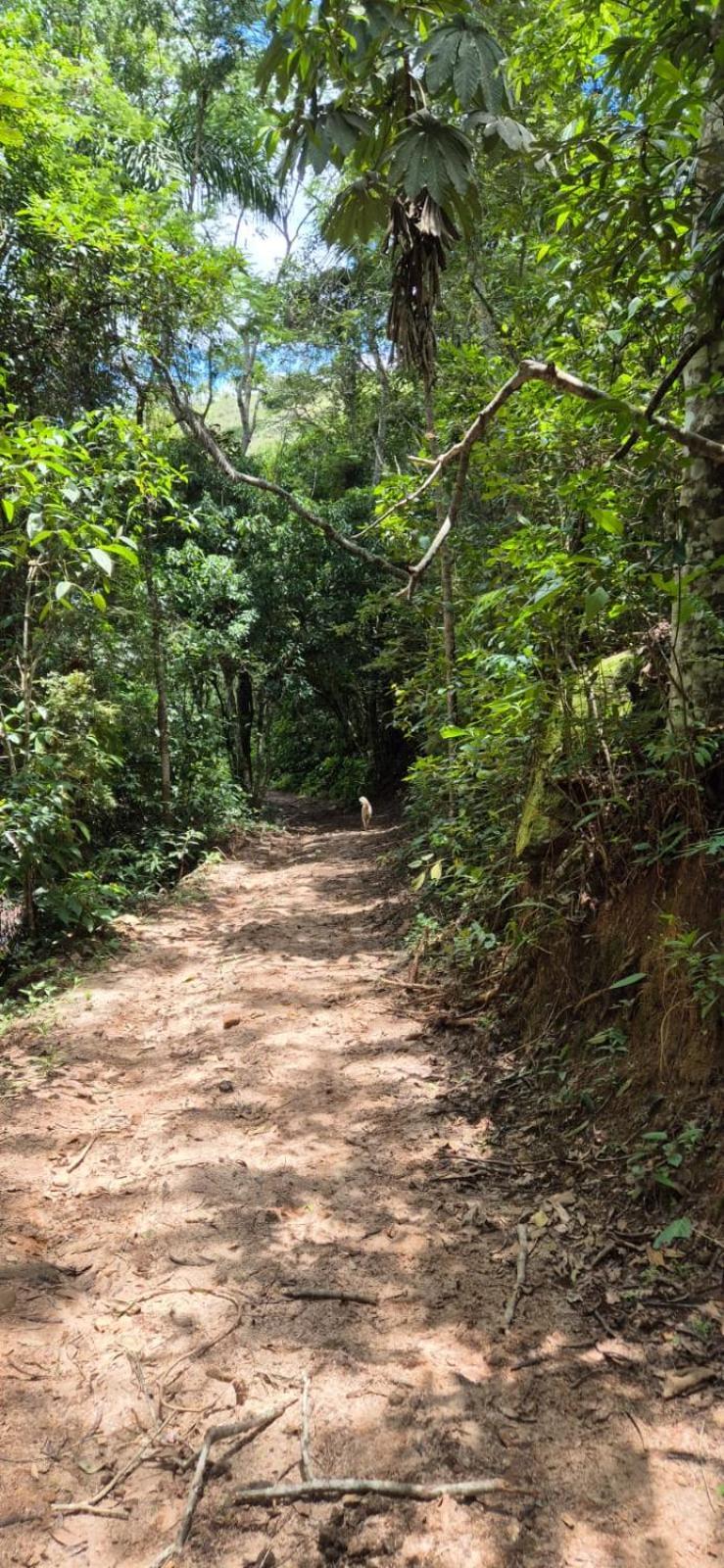 Pousada Fazenda e Pesqueiro Chalé da serra Conceição do Ibitipoca Exterior foto