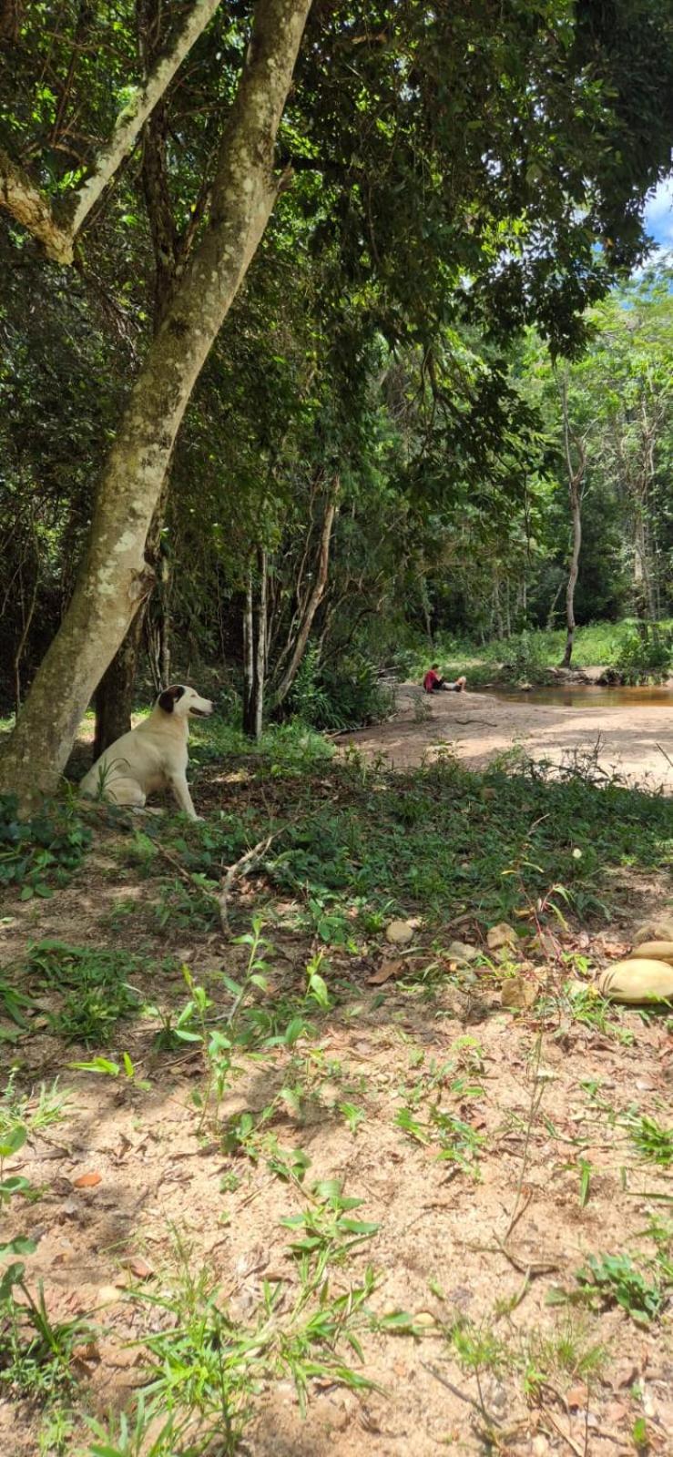 Pousada Fazenda e Pesqueiro Chalé da serra Conceição do Ibitipoca Exterior foto