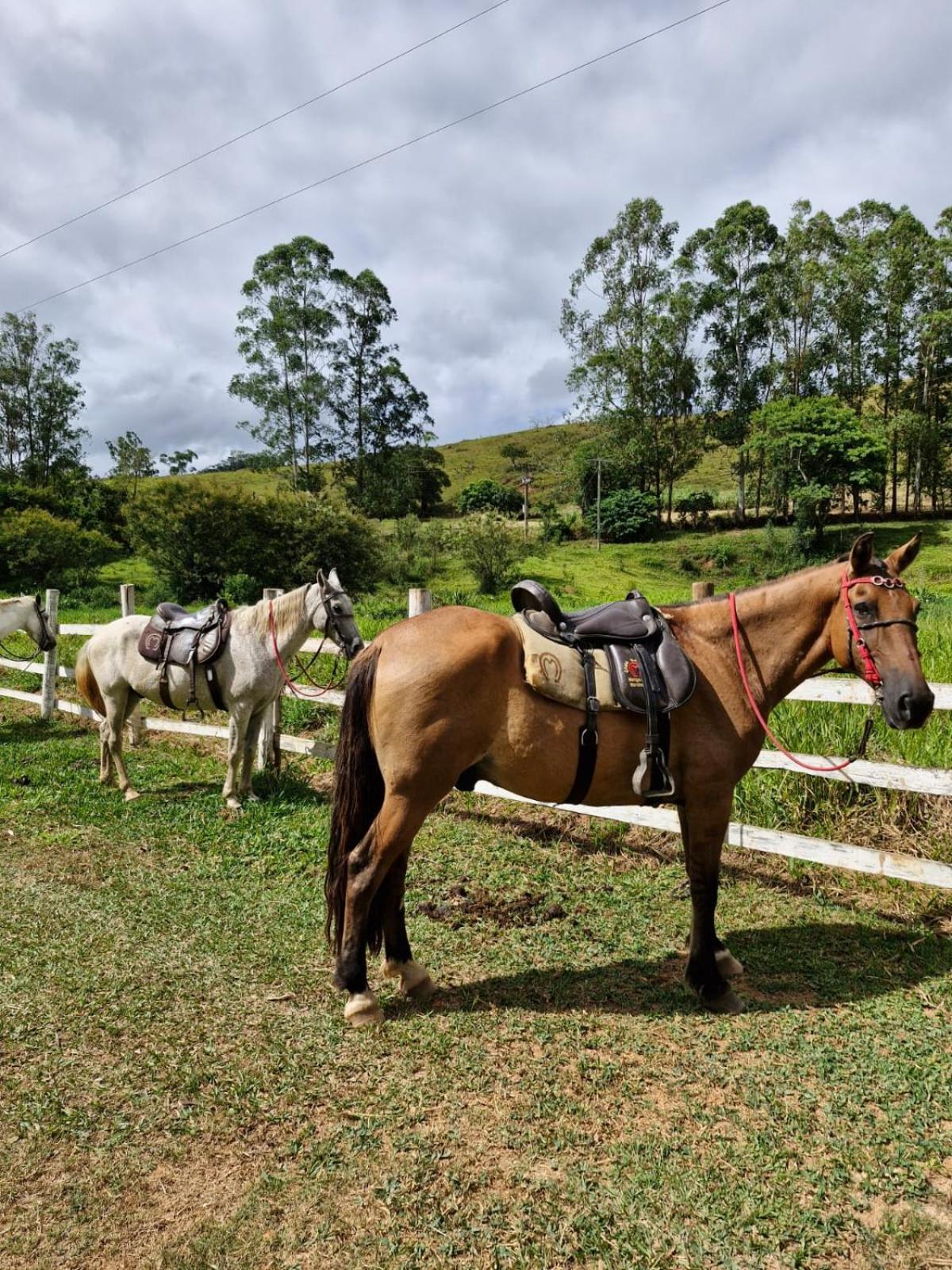 Pousada Fazenda e Pesqueiro Chalé da serra Conceição do Ibitipoca Exterior foto