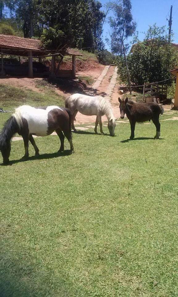 Pousada Fazenda e Pesqueiro Chalé da serra Conceição do Ibitipoca Exterior foto